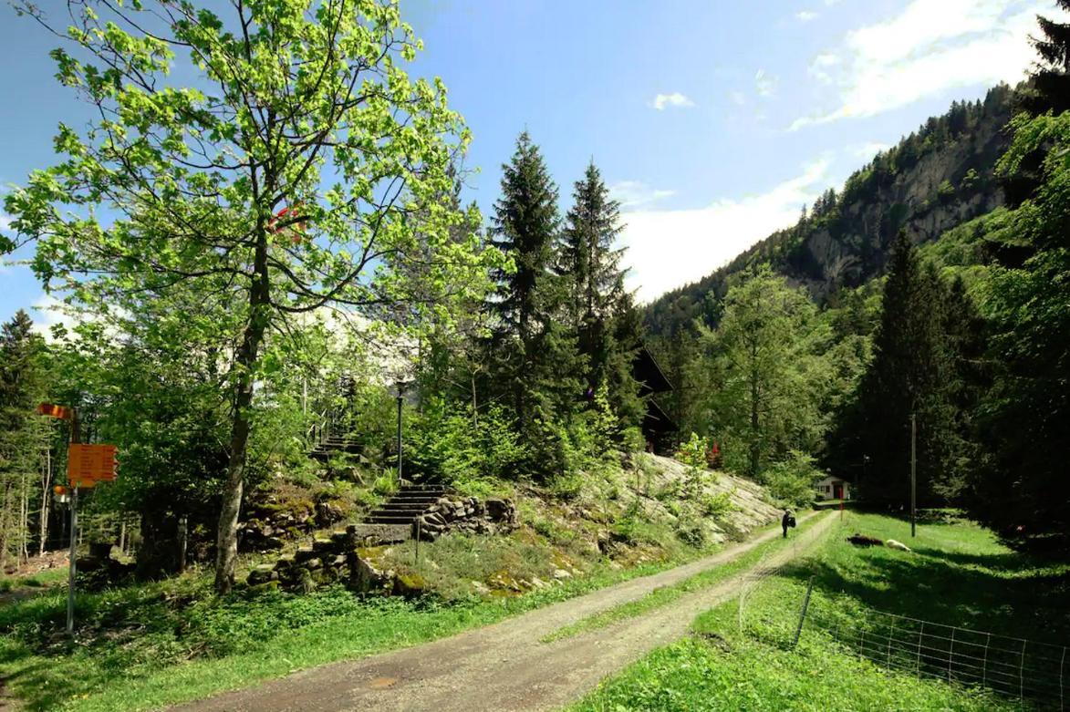 Kunst- Und Naturfreundehaus Bruenig Лунгерн Экстерьер фото