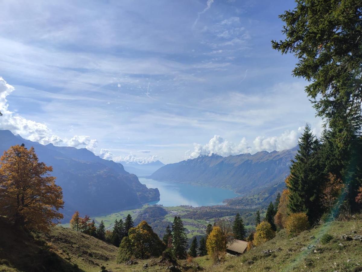 Kunst- Und Naturfreundehaus Bruenig Лунгерн Экстерьер фото
