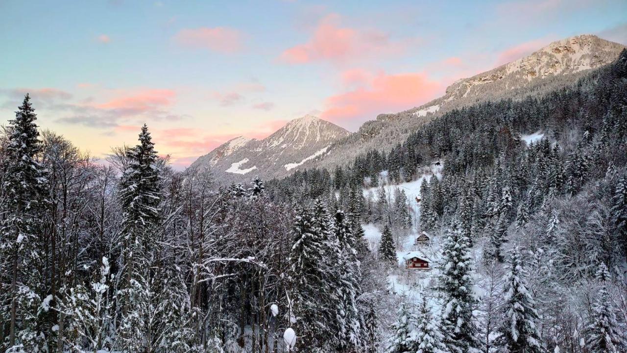 Kunst- Und Naturfreundehaus Bruenig Лунгерн Экстерьер фото