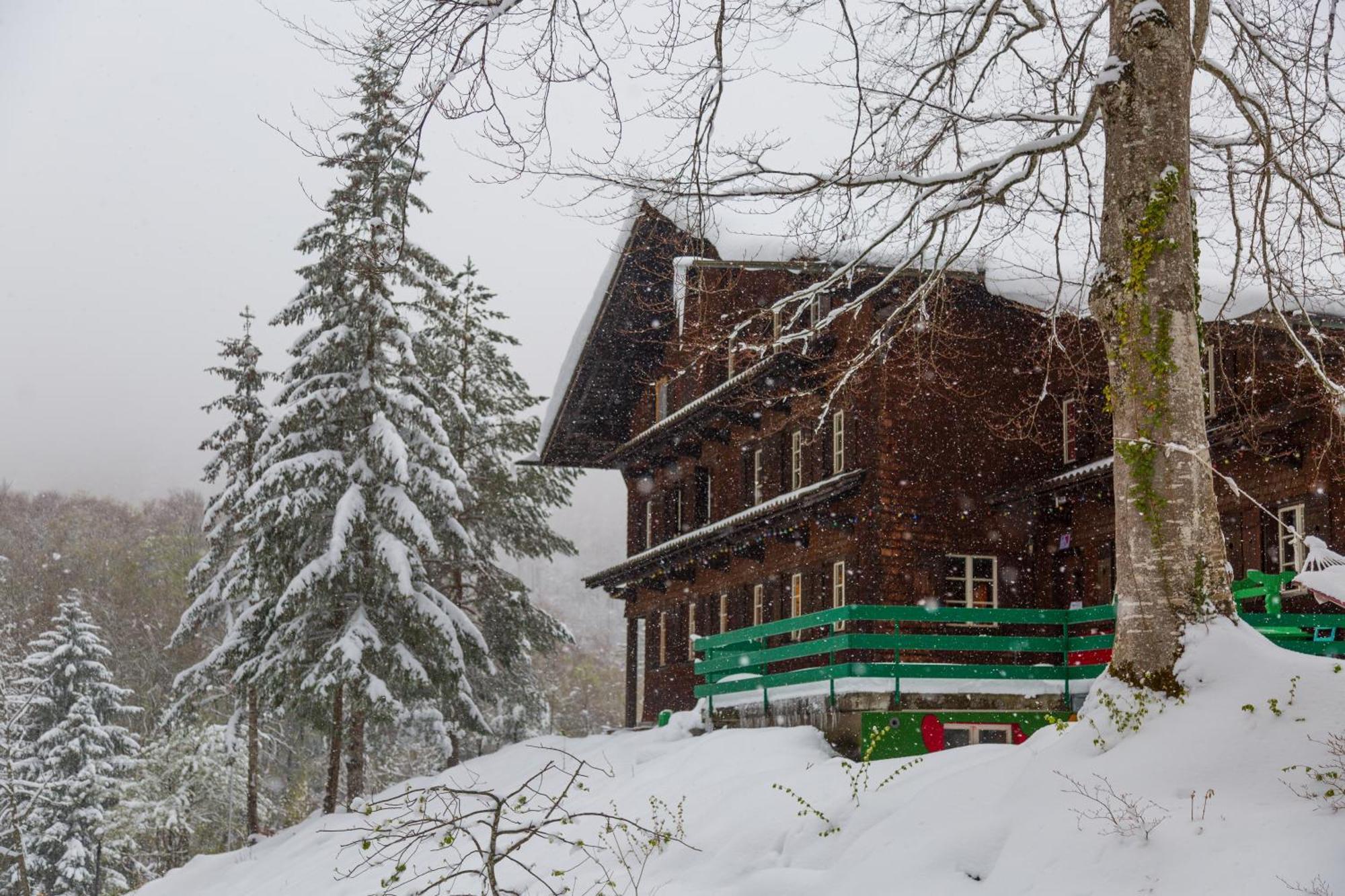 Kunst- Und Naturfreundehaus Bruenig Лунгерн Экстерьер фото