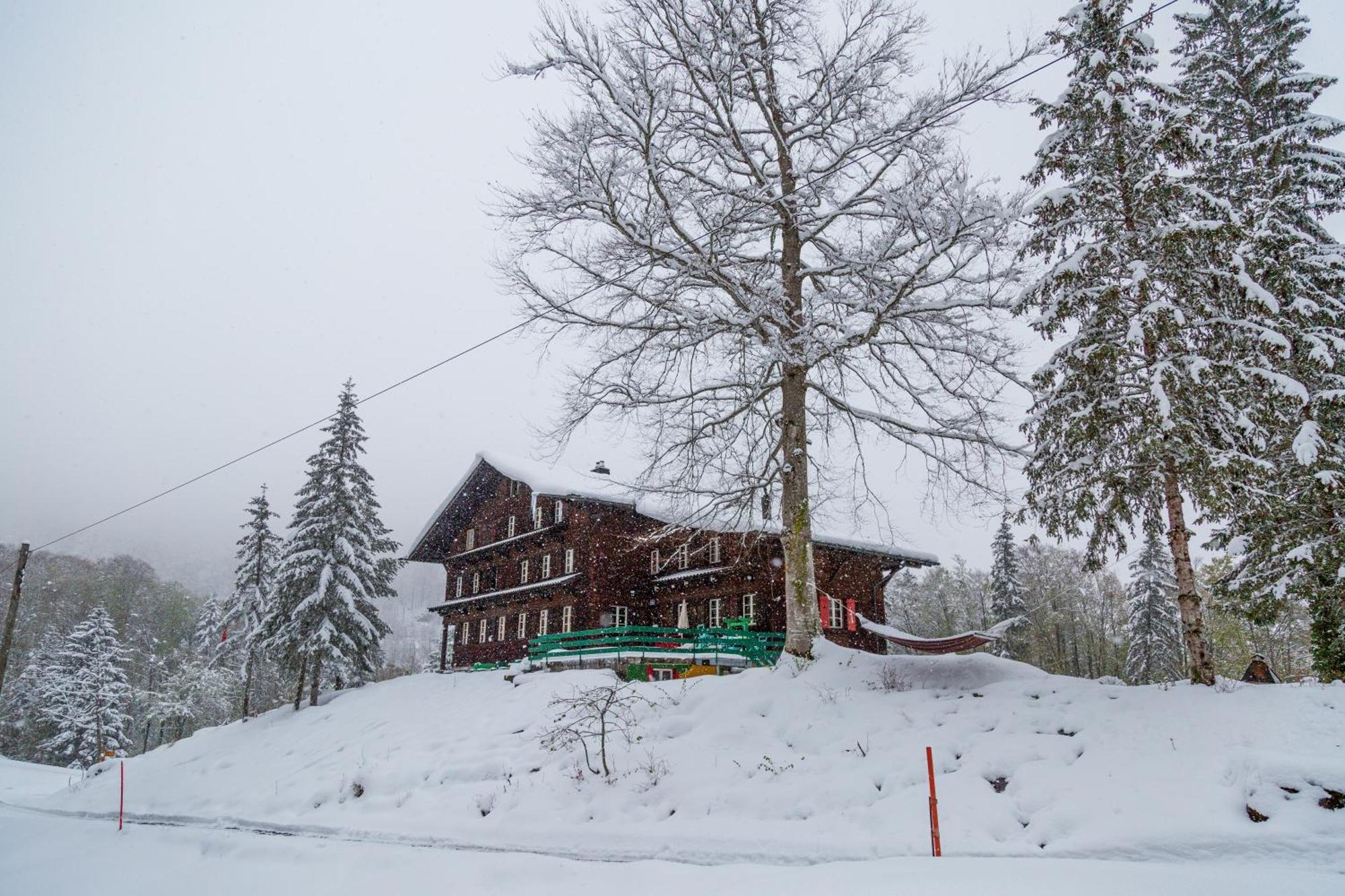 Kunst- Und Naturfreundehaus Bruenig Лунгерн Экстерьер фото
